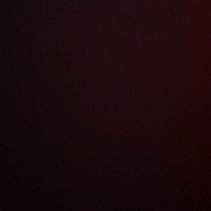 Meet your Posher, Ninell